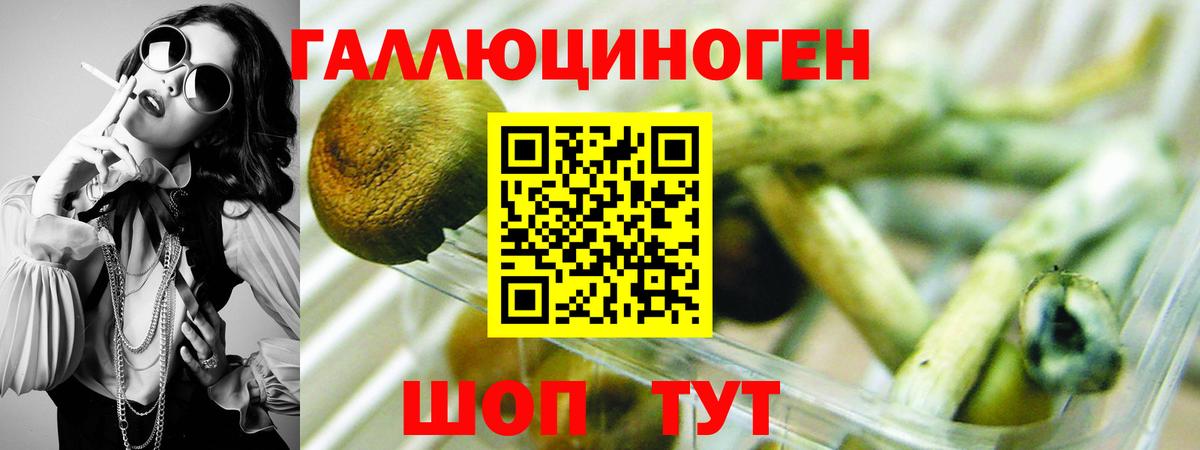 Пятигорск  Галлюциногенные грибы Psilocybe  Псилоцибиновые грибы Cubensis  Вход с VPN 