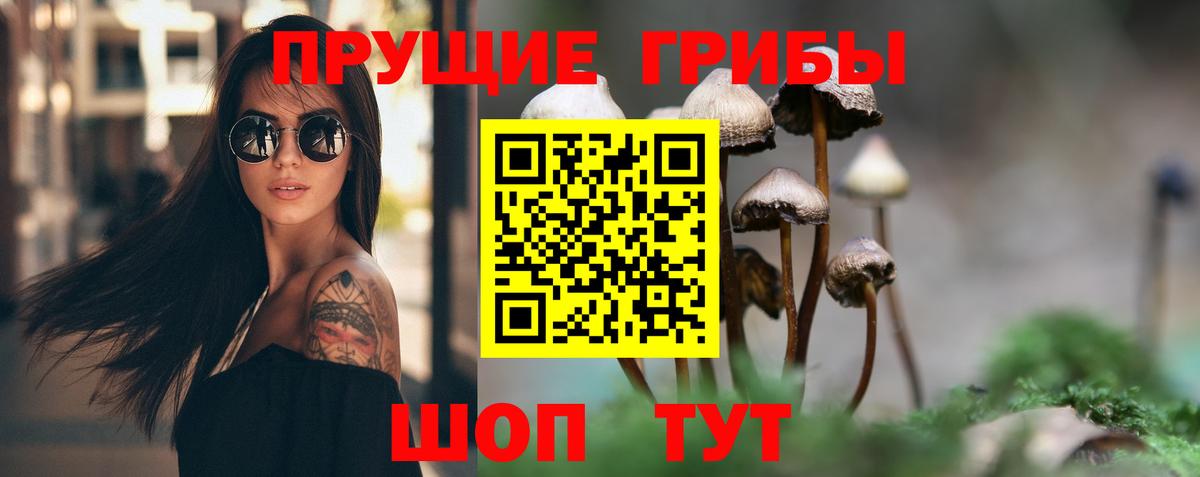 Галлюциногенные грибы мицелий Пятигорск